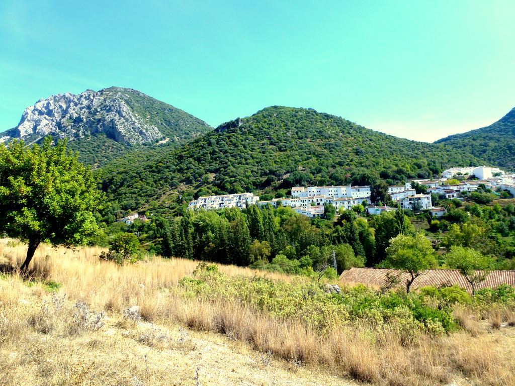 Casa Rural El Aljibe Benamahoma Dış mekan fotoğraf