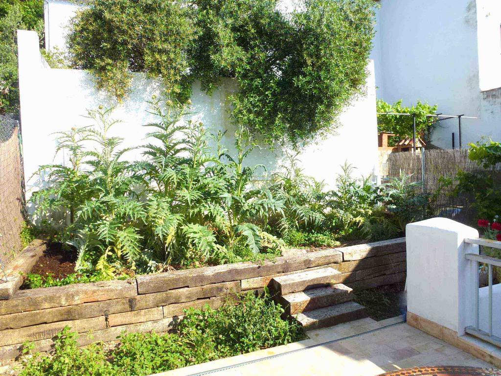Casa Rural El Aljibe Benamahoma Dış mekan fotoğraf